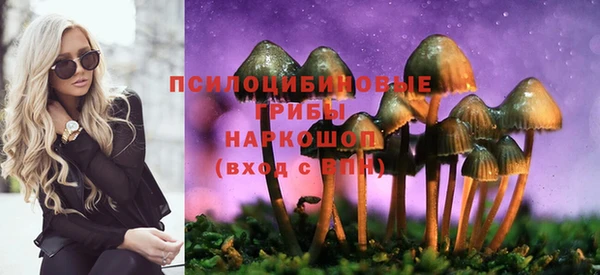 соль курить ск Богданович