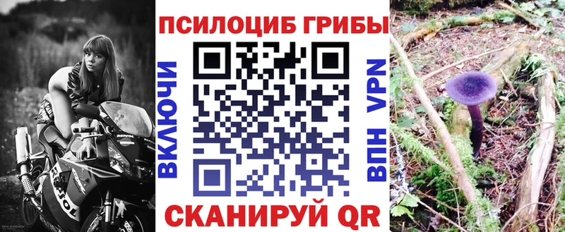blacksprut маркетплейс  цена наркотик  Юрьевец  Галлюциногенные грибы мицелий 